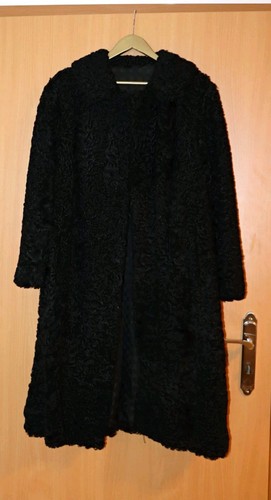 Echter persikaner karakul - echter,